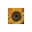 originalpaintbydiamond.com favicon