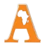 afrikanetonline.cm favicon