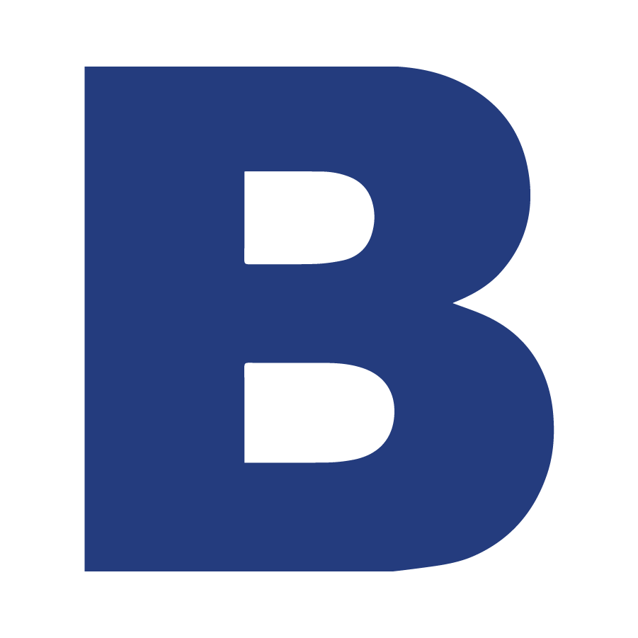 bardi.com favicon