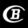 bauknecht.nl favicon