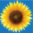 completetraining.uk favicon