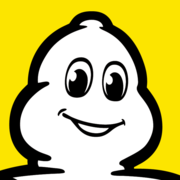 michelinman.com favicon