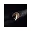 pyschedelichallucinogensaustralia.com favicon