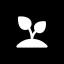 savannaskin.com favicon