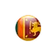 srilankavisas.net favicon