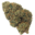 wholesalecbdflower.com favicon