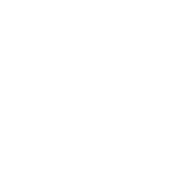 zafpens.com favicon