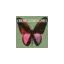 cremecompagniet.dk favicon