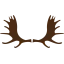 greatmoosewoodcraft.com favicon