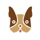 hondenzorgwinkel.com favicon