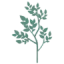 unikkebegravelser.dk favicon