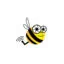 beeaerial.co.uk favicon