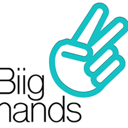 biighands.com favicon