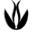 biomak.eu favicon