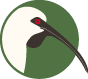 buenosdiasbirding.com favicon