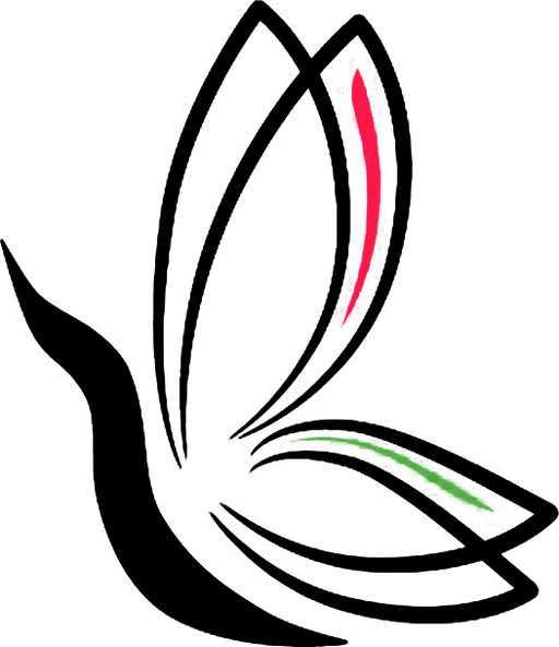 calisto.co favicon