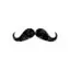 jazzspivs.co.uk favicon