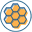 lipbalmexpress.com favicon