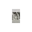 pickleandpolish.co.uk favicon