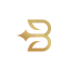 billionairegroup.io favicon