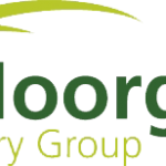 moorgatevets.co.uk favicon