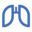 pneumo-im-eulenbaumhaus.de favicon