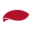 saupiquet.com favicon