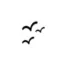 thesparrows.me favicon