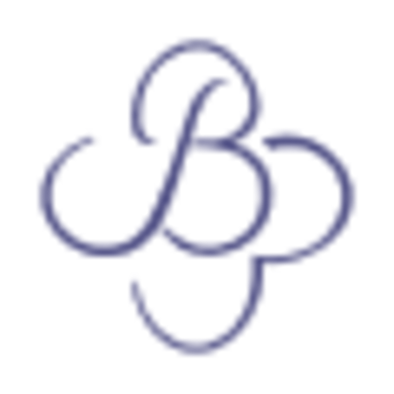 bypromise.com favicon