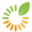 ecokent.uk favicon