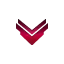 levelguidz.com favicon