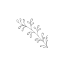 whitedesignsbridal.co.uk favicon