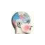 badscience.in favicon