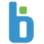 bitnetinfotech.com favicon