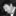 daveroyalmagician.co.uk favicon