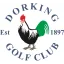 dorkinggolfclub.co.uk favicon