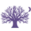 enchantedspiritsshop.com favicon