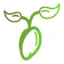 hctseeds.se favicon