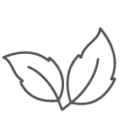 mentholatum.dk favicon