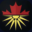 oakdaleautodubai.com favicon