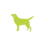 steelfoxfirearms.com favicon