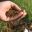 chewow.de favicon