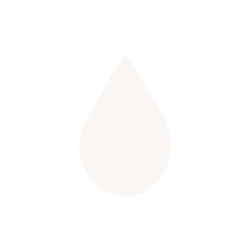 raincitygutters.ca favicon
