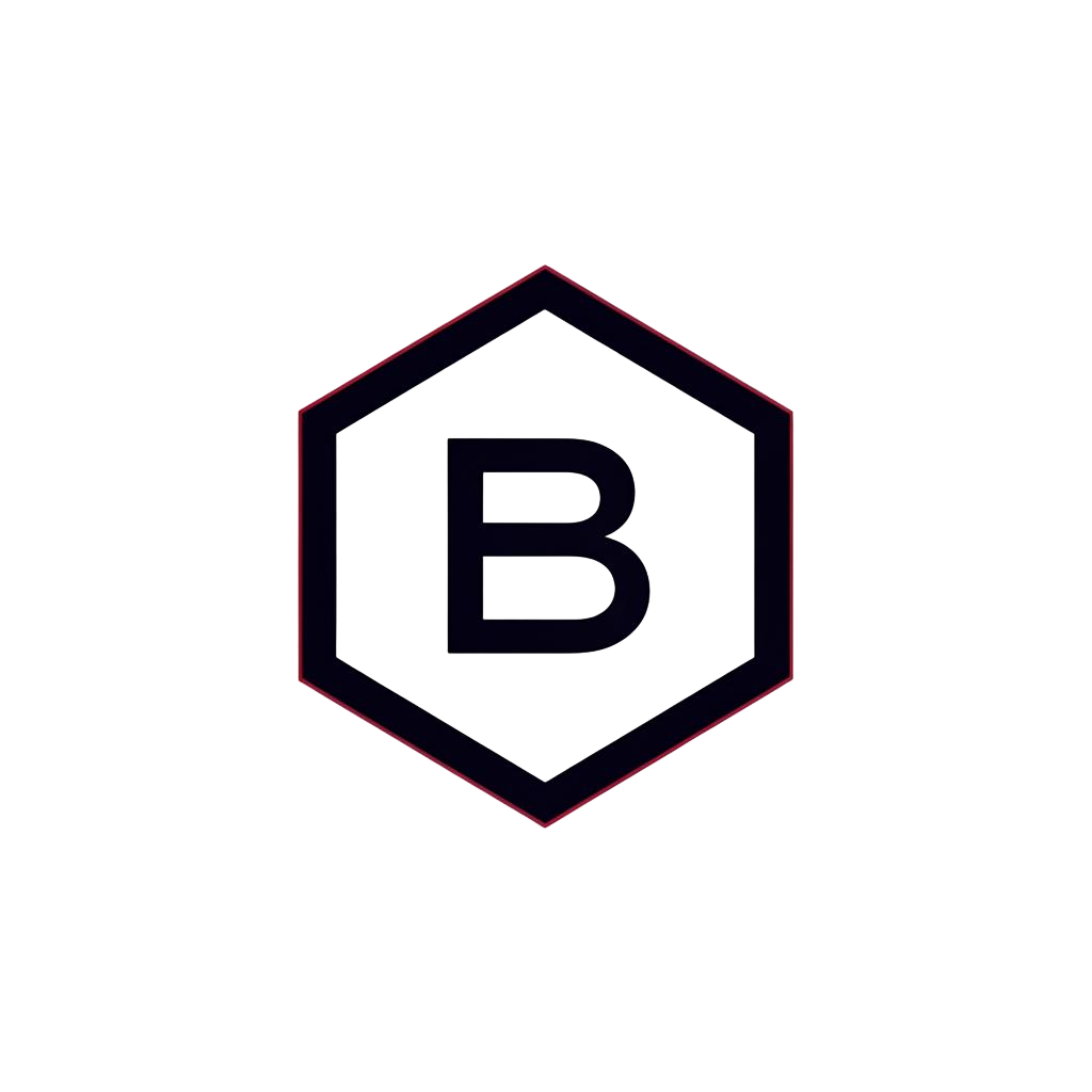 bitora.vip favicon