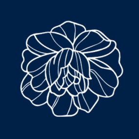 fashionbypeony.com favicon