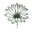 germsprout.com favicon