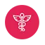onepinternational.com favicon
