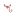 shoprebelreid.com favicon