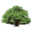 thesolidwoodflooringcompany.com favicon