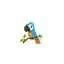 afgreyparrot.com favicon